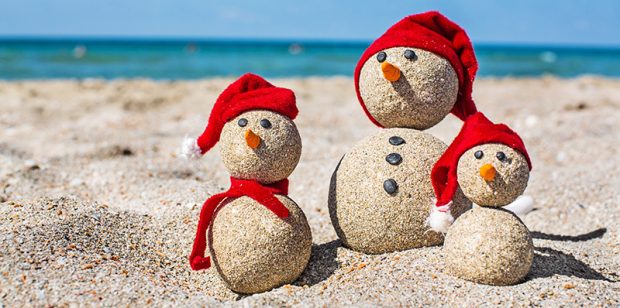 Surviving the Holidays