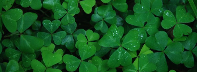 Eat Green for St. Patty’s Day