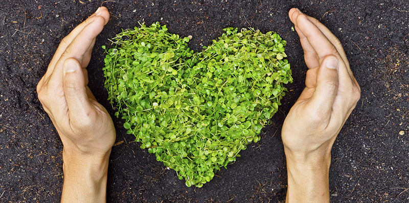 Eat Green and Clean for Earth Day