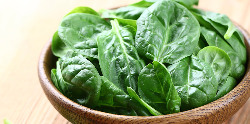 Transitioning from Life as a Semi-Vegetarian