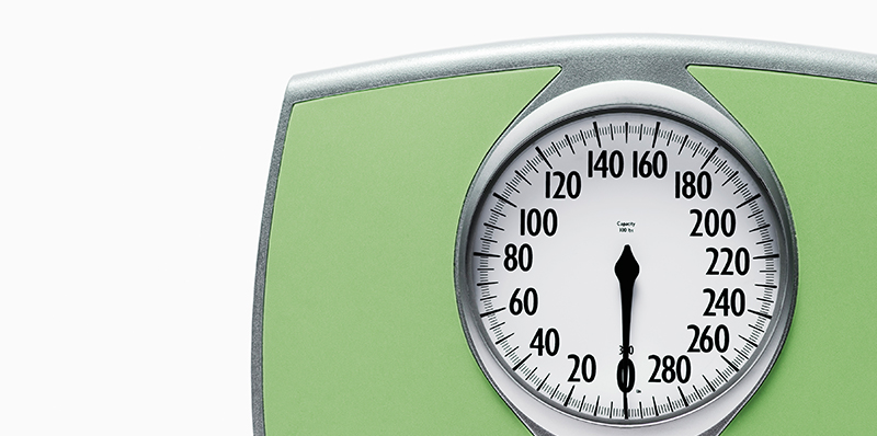 Stay Fueled to Shed Pounds