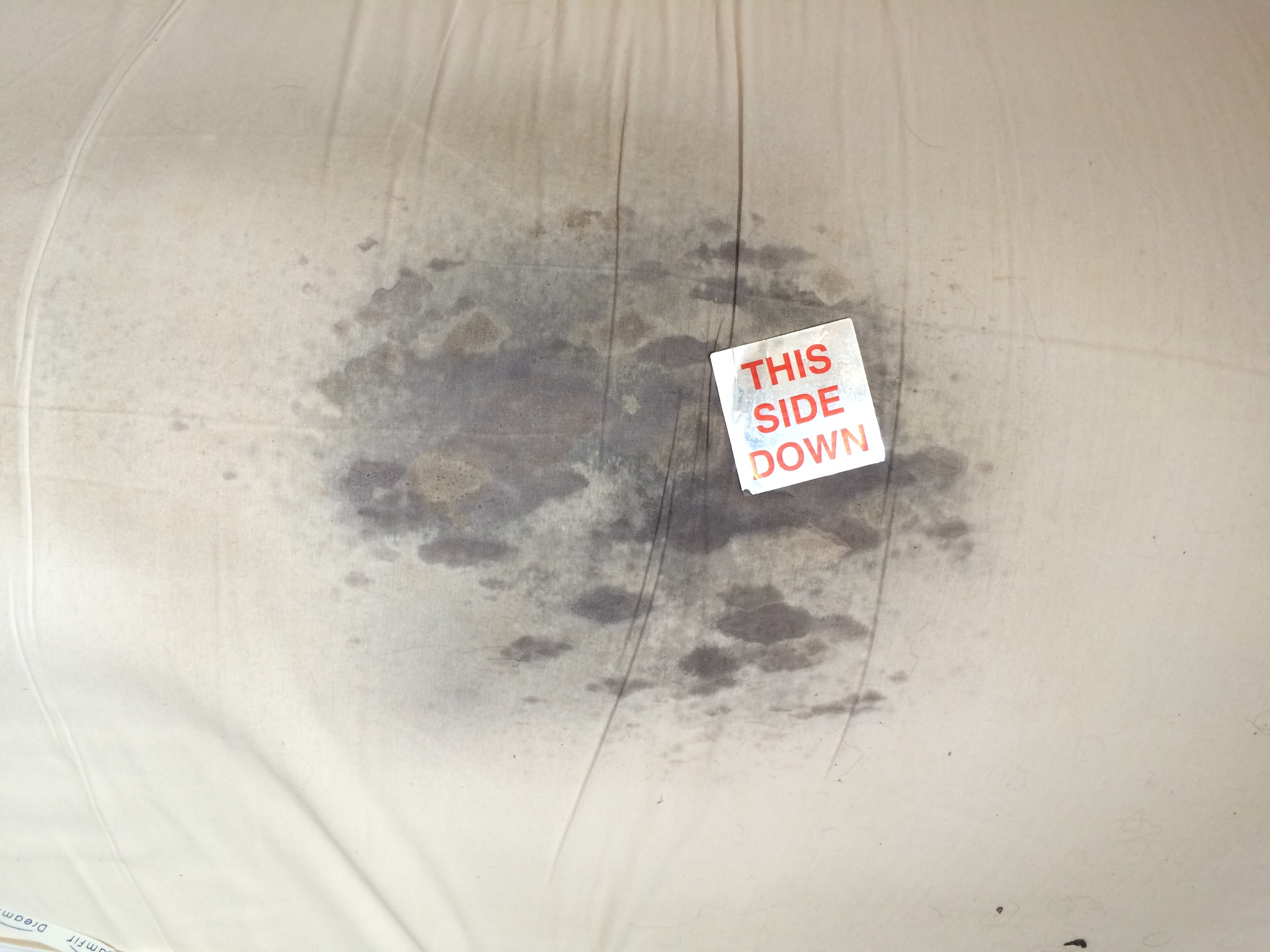 Moldy-Temperpedic-Mattress-intellibed