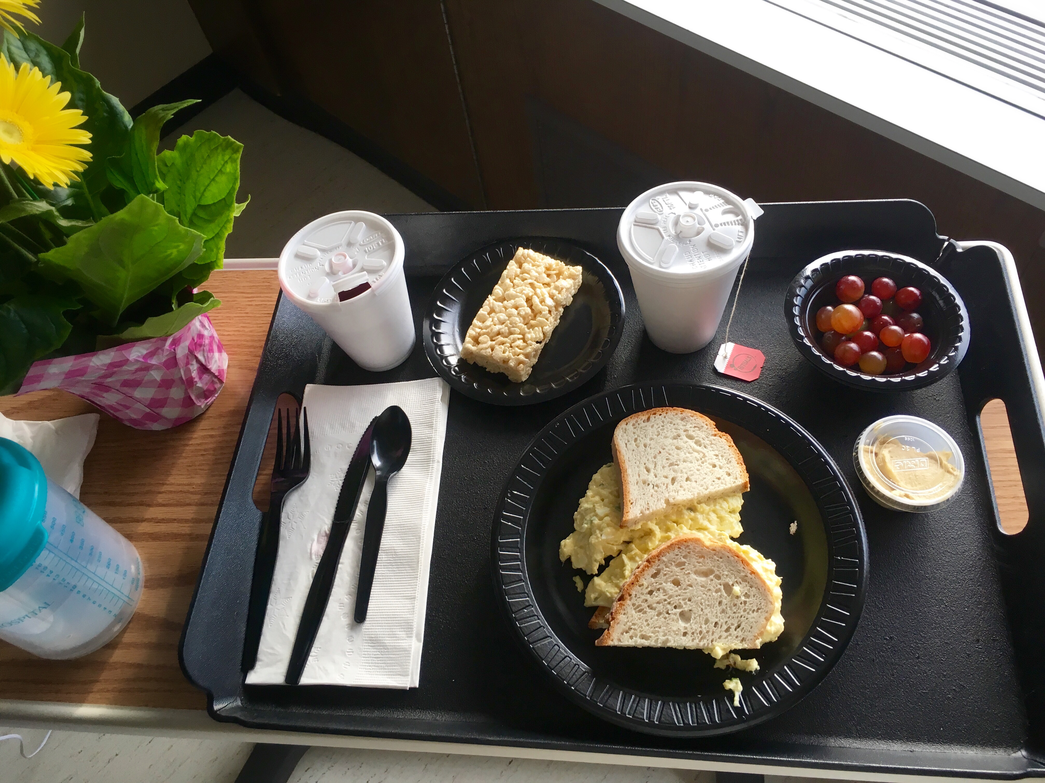 Egg-Salad-Hospital