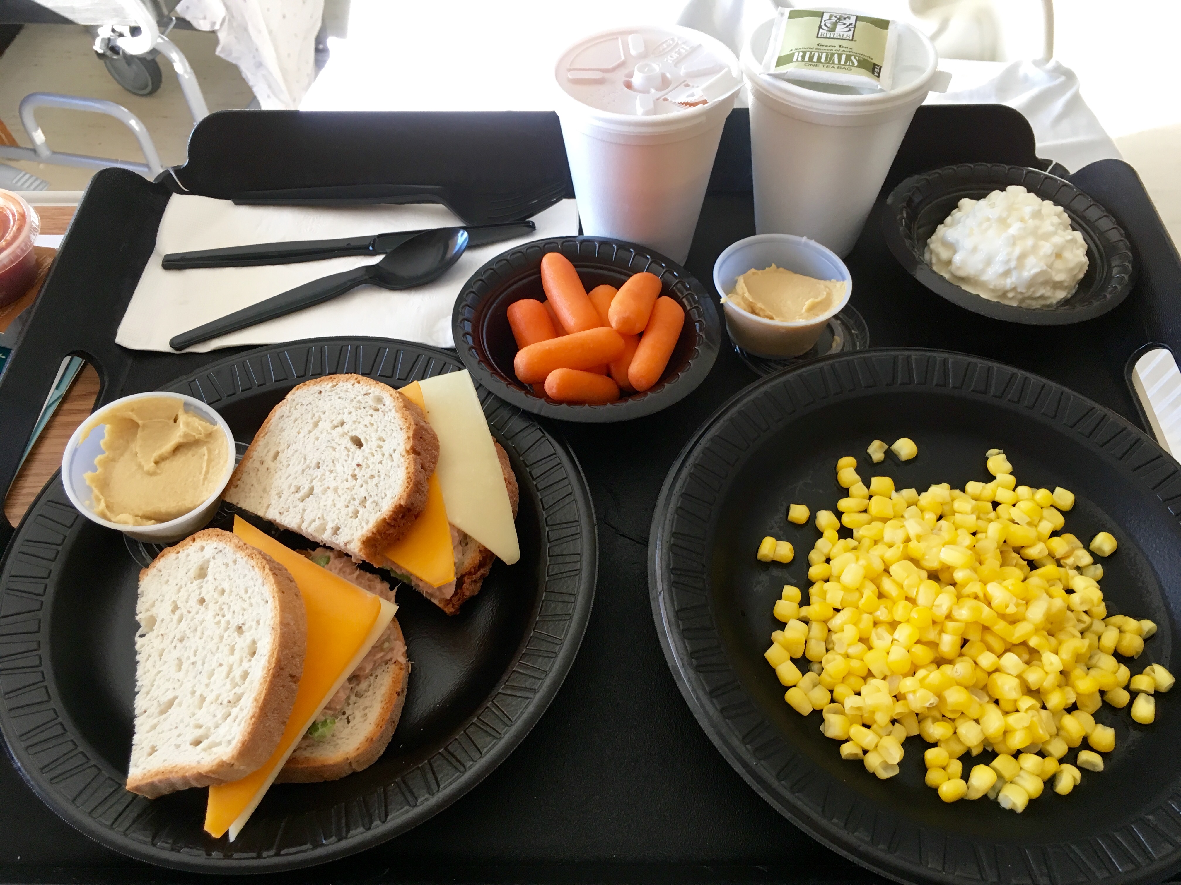 Sandwich-Hospital-Meal