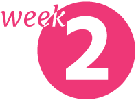 Week 2: PFC & Portions
