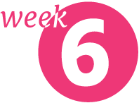 Week 6: Journaling & Jumping Jacks