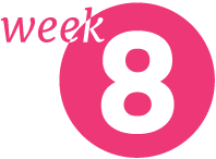Week 8: Building Your Brain & Boundaries